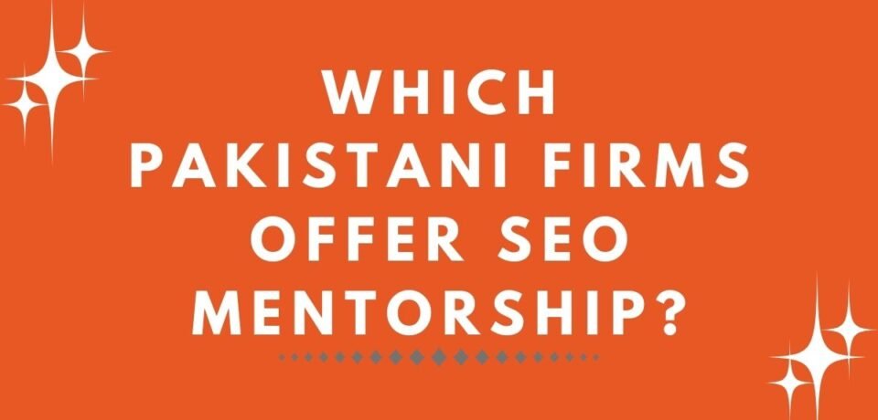 Which Pakistani Firms Offer SEO Mentorship?